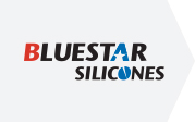 Bluestar Silicones France SAS